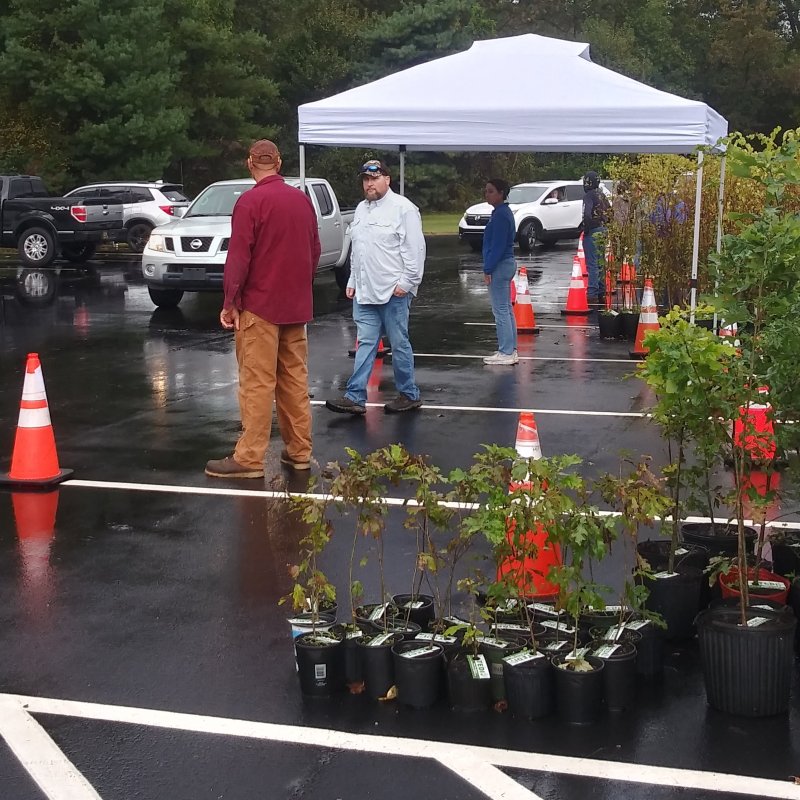 SCD staff and volunteers wait for the next group of vehicles during the Sussex Conservation District’s Tree for Every Delawarean Initiative giveaway Oct. 11 in Georgetown. SUBMITTED PHOTO